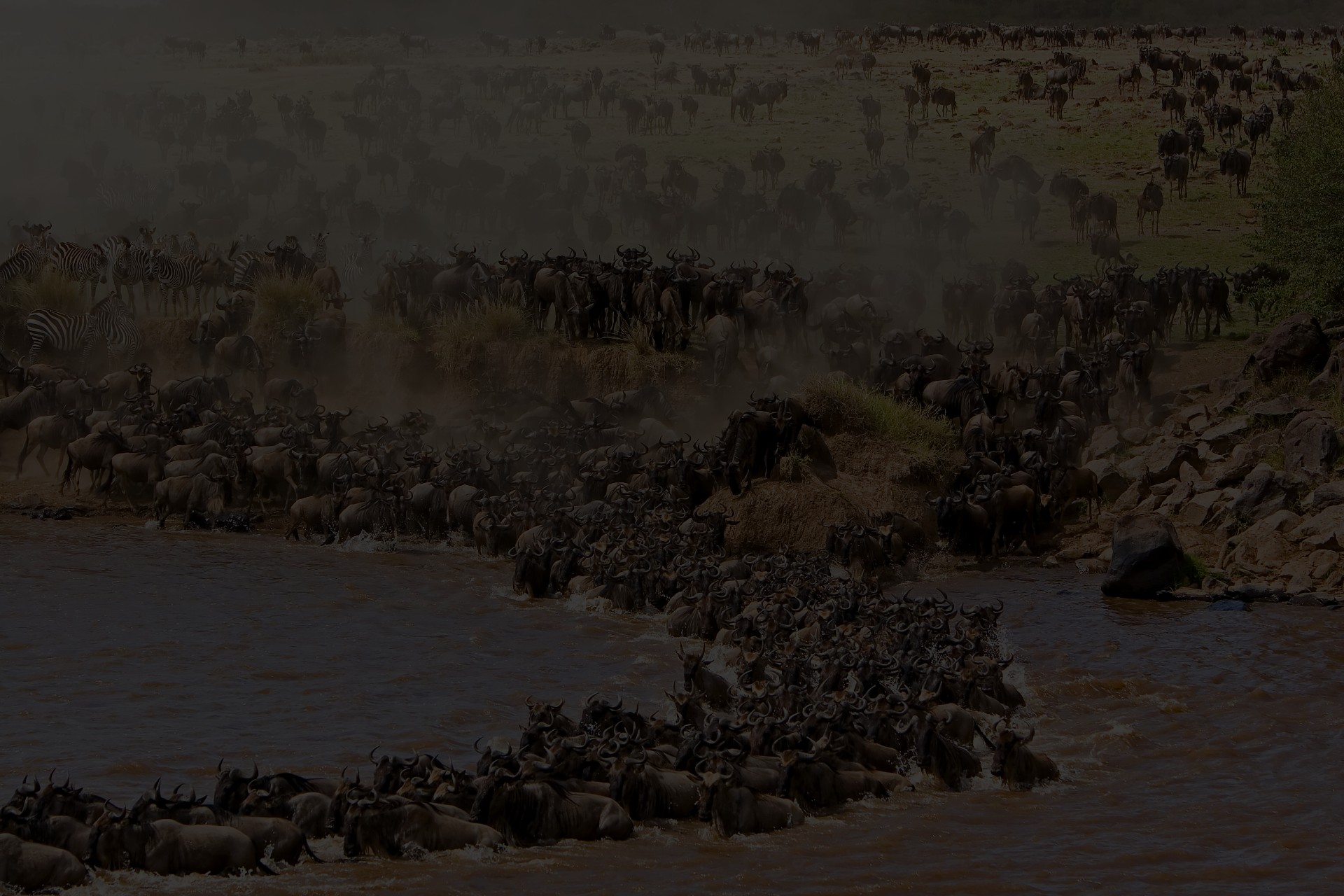 Masai mara safari joining
